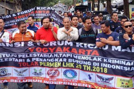 Komunitas Kicau ManIa Jateng,DIY, Jatim Memprotes Terbitnya Permen No. P.20  LHK  Tahun 2018