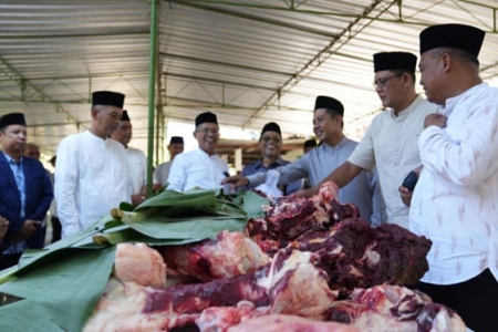 Bupati - Wakil Bupati, Jajaran OPD Sleman Pimpin Langsung Pantau Pelaksanaan Kurban