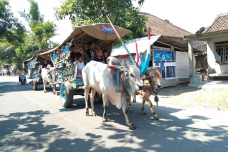 Kirab Gerobak  Sapi Meriahkan Festival  Candi  Kembar,Prambanan.