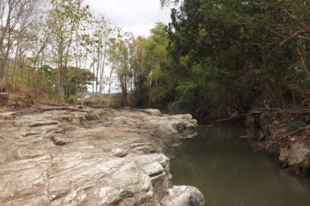 Srimartani Piyungan Bantul Kemungkinan Bakal  Melounching Destinasi 