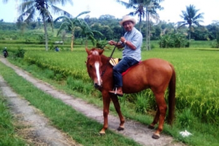 Aripin Mantan Kades Nglegi Patuk :  Menguji Andrenalin  Kesengsem Naik Kuda ' Terus Dukung Wisata Berkuda  Ngoro-oro  Untuk Pemberdayaan 