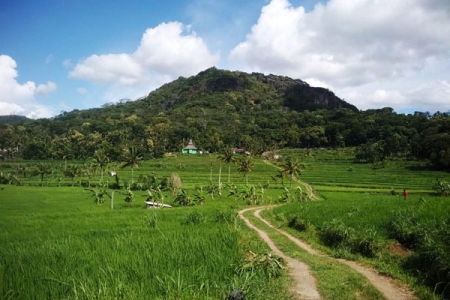 Kawasan Tawang Desa Ngoro-Oro Gunungkidul Spot Wisata Alamnya Kini Viral Dimedia 