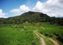 Kawasan Tawang Desa Ngoro-Oro Gunungkidul…