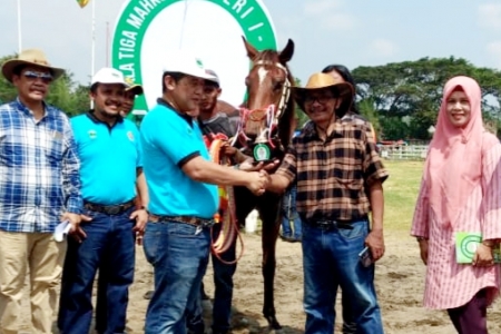 Kuda Lady Aria Sabet Prestasi di Pacuan Kuda Piala Tiga Mahkota Seri 1 2020