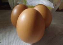 Dirikan Telur Saat Peh Chun Supaya…