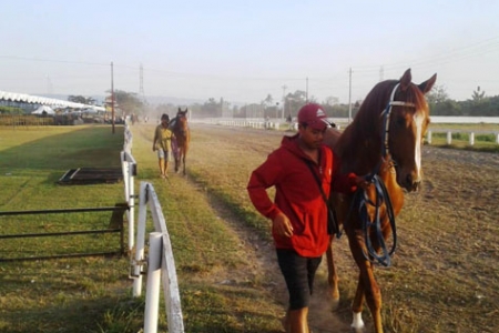 130 Kuda Siap Bertanding Dipacuan Kuda Pakualam Cup VII Bantul 2019