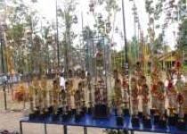 Asekda II Kulonprogo mendukung…
