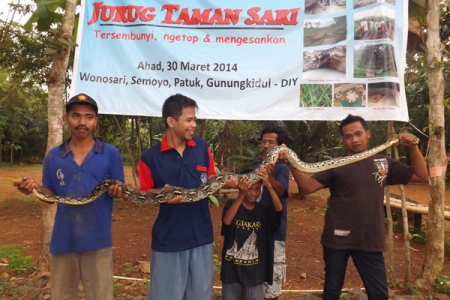 Heboh "Ular Sowo Segede Paha" Di Kira Ular Demit "Warga Panggil Dukun Dan Pawang