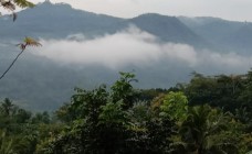 Awan pedut jadi wahana wisata sefie…