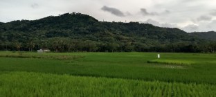 Asyiknya Traveling Didesa Lihat…