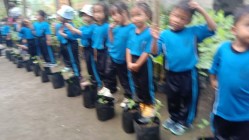 Bocil TK Belajar Bertanam Cabe…