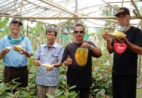 Pak Lurah Sidomulyo Bambanglipuro…