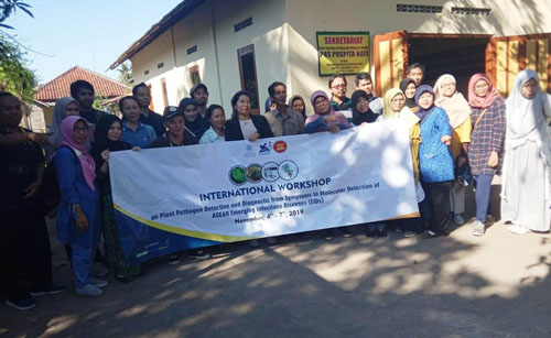 Wokshop Diaknosis Tanaman  Tim UGM Temukan Tanaman Cabe  Menguning Kena Penyakit