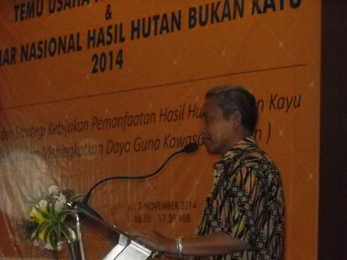 90% Hasil Hutan Disumbangkan Oleh Hasil Hutan Bukan Kayu
