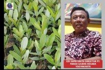 PT. Pandu Wijaya Negara Akan Melakukan…