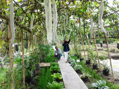 YOGJA YOUTH FARMING" BEROPSESI JADI LABORAT PELESTARIAN ALAM