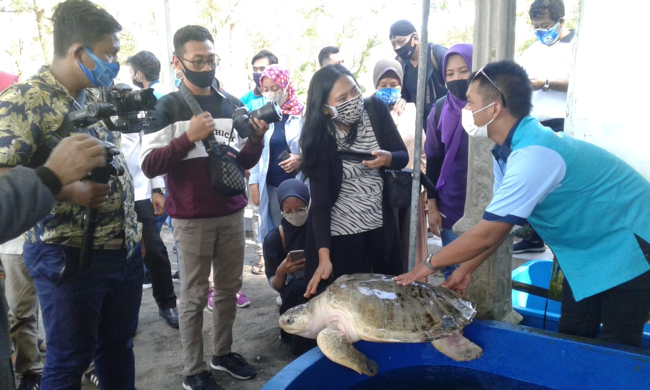 Pantai Gua Cemara, Berwisata Pantai Sembari Melepas Melepas Tukik
