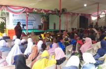 Launching Ripening Pisang Cavendish…