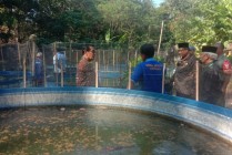 Kalurahan Tirtomulyo Kretek Bantul…