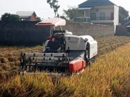 Alat pemanen padi otomatis canggih…