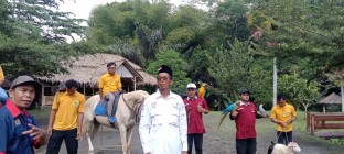 Unik Pasukan Satwa Mini Zoo Sleman…