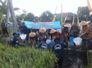 Keuntungan budidaya sekitar budidaya…