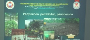 Indonesian gold green project kegiatan…
