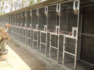 Kandang Ternak Breeding Derkuku…
