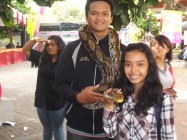 Ular jangan buat mainan 
