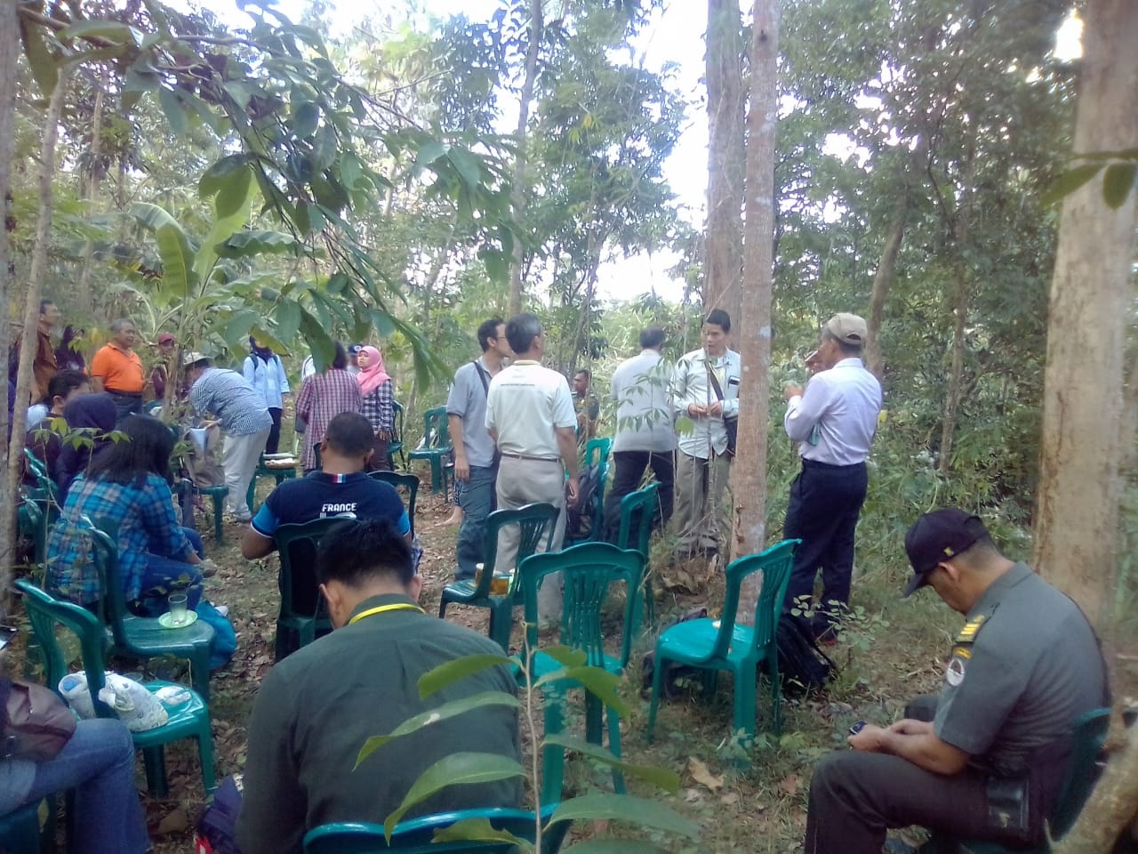 Apa Benar Kayu Sonokeling Dari Jatikuning  'Tahun 1975 Warga  Salak Semoyo Mulai Tanam Akar dan Mengembangkan 