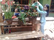 Masa Pandemi SD Sokasari Gunungkidul…