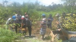 UNDP Berikan Workshop Pencegahan…