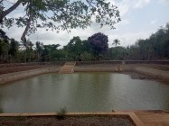 Telaga Towati Tepus Gunungkidul…