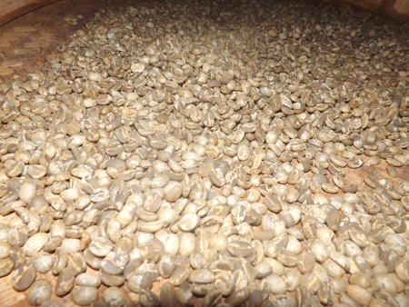 Inilah 3 Jenis Kopi Yang di Sukai Pecinta Kopi di Indonesia