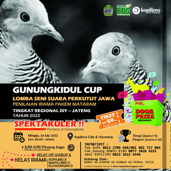 Lomba Perkutut Lokal Penilaian Irama Mataram Minggu 24 Juli 2022 Di Kopilimo Patuk Gunungkidul