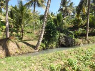 Bupati Bantul Beberkan Rencana…