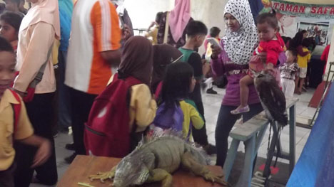 Cleret Gombel Ikut Safari Keliling