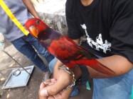 Wahana Wisata Baru Dan Edukasi…