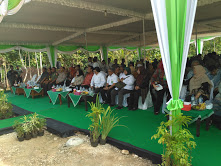 Gawat 500.000  Hektar Lebih Kawasan Pertambangan Rusak