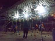 Burung Puter Pelung Bergairah Bunyi…