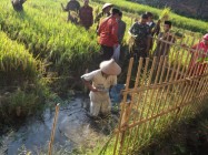 Mina padi mina ikan masih kendala…
