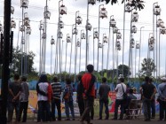 Lomba Burung Derkuku Bupati Cup…