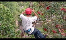 Inilah Wahana Playing Fox 200 Meter…