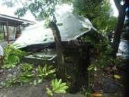 Hujan deras disertai angin kencang…