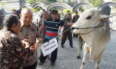 Idul Adha 1438 H Pemda DIY Dapat…
