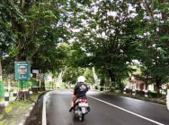 Pohon – Pohon Rindang Sejukan…