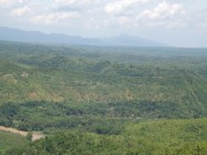 Wao view hutan turunan watu payung…