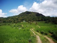 Kawasan Tawang Desa Ngoro-Oro Gunungkidul…