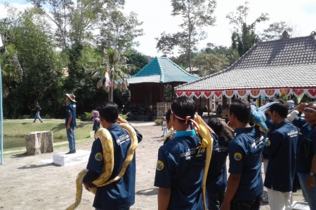 Unik, Upacara Detik-Detik Proklamasi di Jogja Exotarium Melibatkan Satwa 