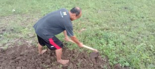 PAK LURAH MENCANGKUL SAWAH INSPIRASI…